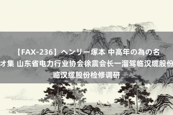 【FAX-236】ヘンリー塚本 中高年の為の名作裏ビデオ集 山东省电力行业协会徐震会长一溜驾临汉缆股份检修调研