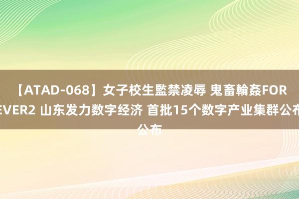 【ATAD-068】女子校生監禁凌辱 鬼畜輪姦FOREVER2 山东发力数字经济 首批15个数字产业集群公布