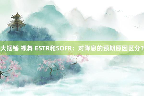 大摆锤 裸舞 ESTR和SOFR：对降息的预期原因区分？