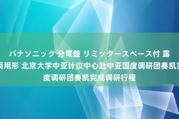 パナソニック 分電盤 リミッタースペース付 露出・半埋込両用形 北京大学中亚计议中心赴中亚国度调研团奏凯完成调研行程